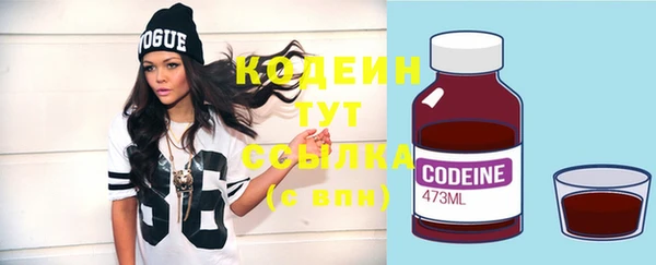эйфоретик Вяземский