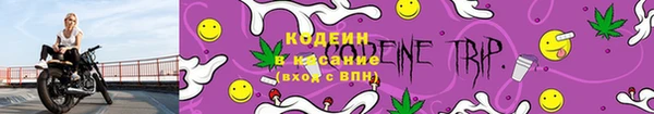 прущий лед Вязьма