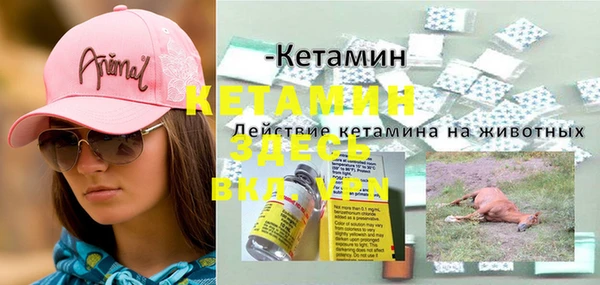 эйфоретик Вяземский