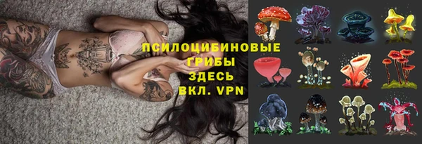 эйфоретик Вяземский