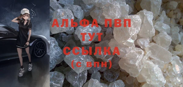 эйфоретик Вяземский
