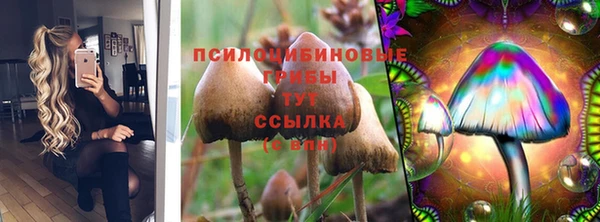 эйфоретик Вяземский