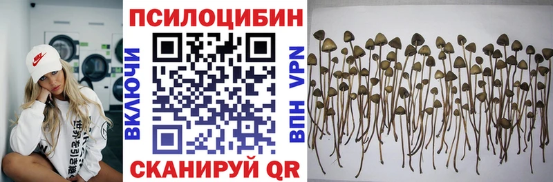 Галлюциногенные грибы GOLDEN TEACHER  Купить где  Кувандык 